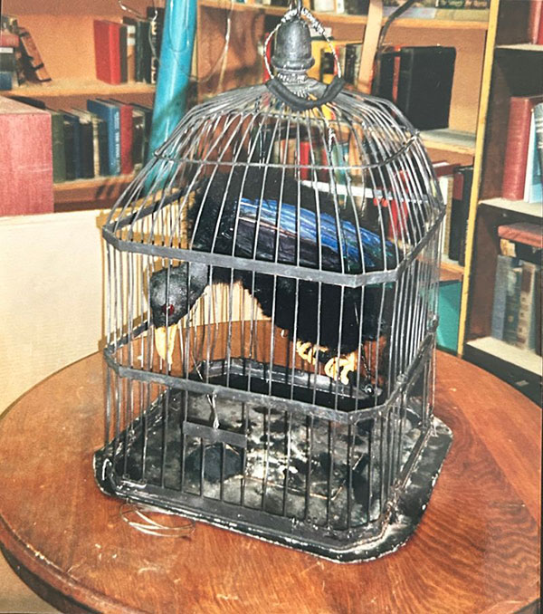 A black vulture puppet inside a black metal birdcage.